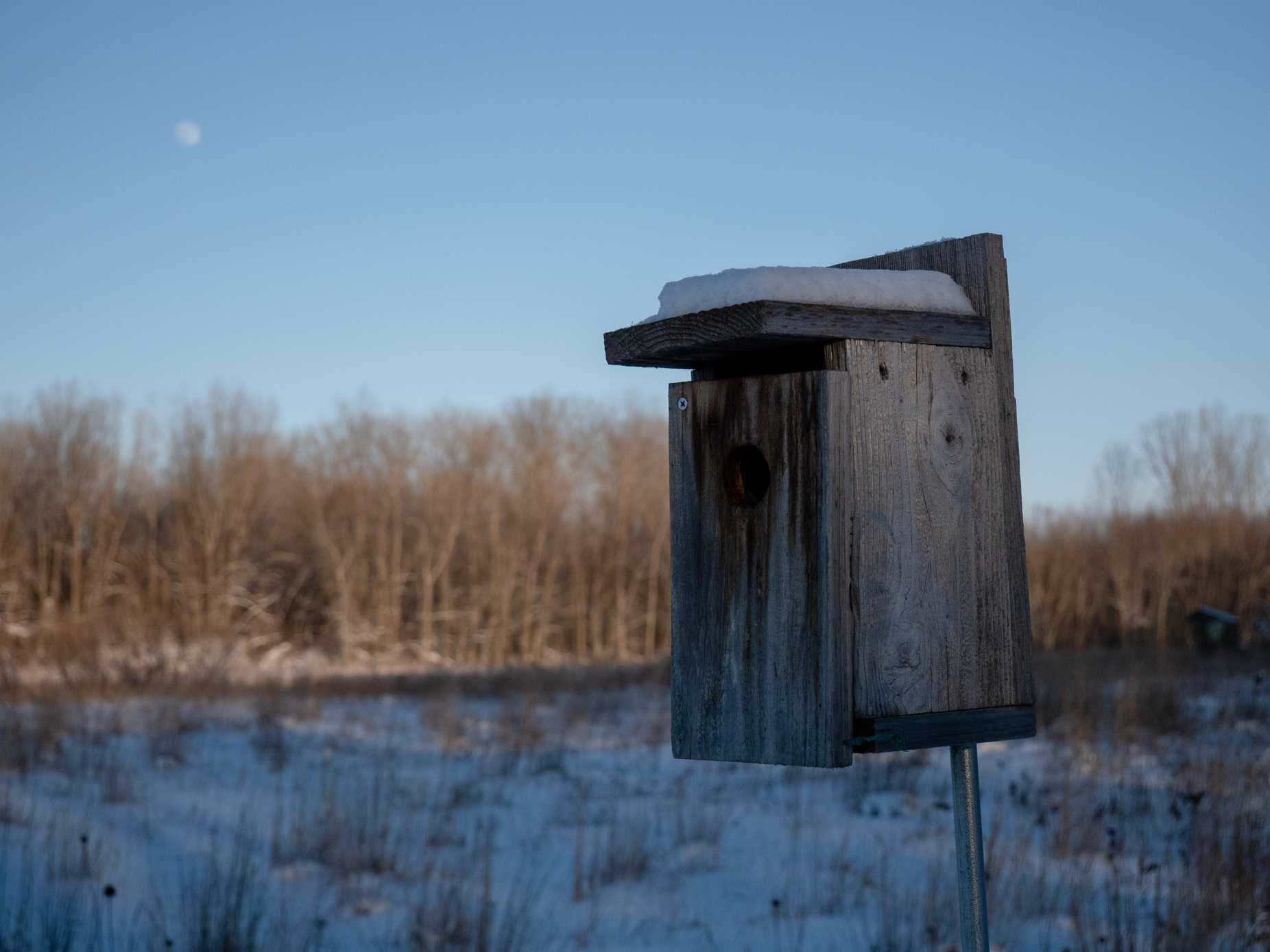 birdhouse at eye level sitting on a post in front of a prairie and wooded area
